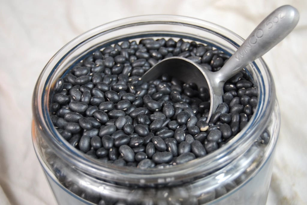 black beans in a glass container with a silver scoop