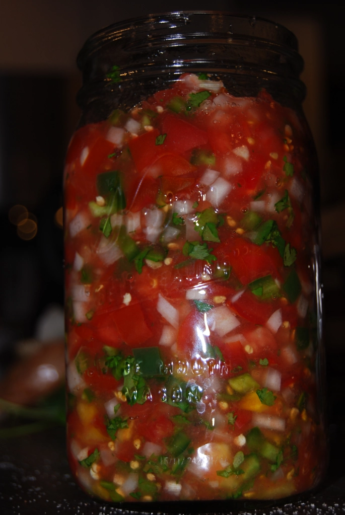 Salsa fermenting in a quart sized jar on a dark counter top