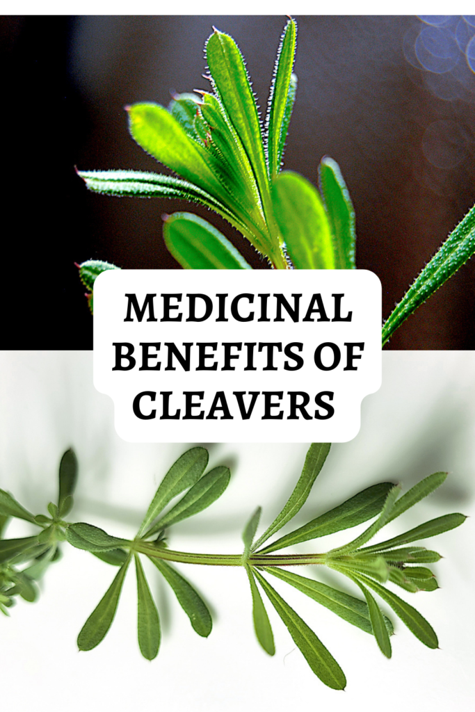 pinterest pin with 2 pictures of cleavers