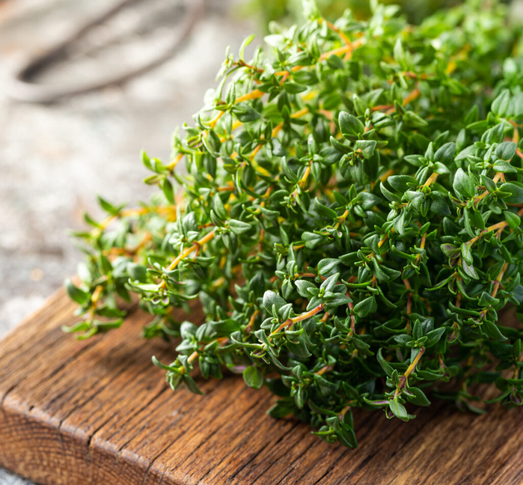 fresh thyme laying on a wooden board