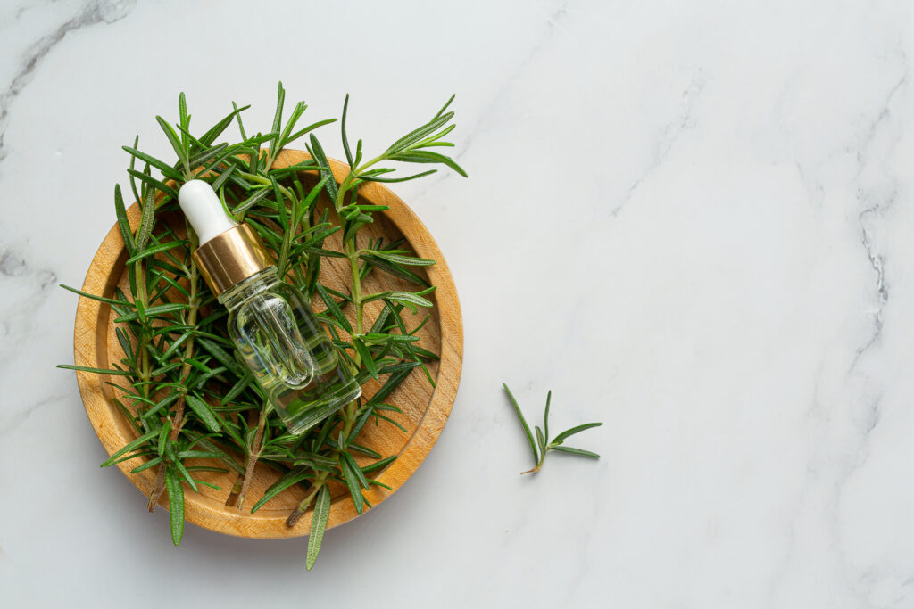 rosemary oil in bottle with rosemary plants