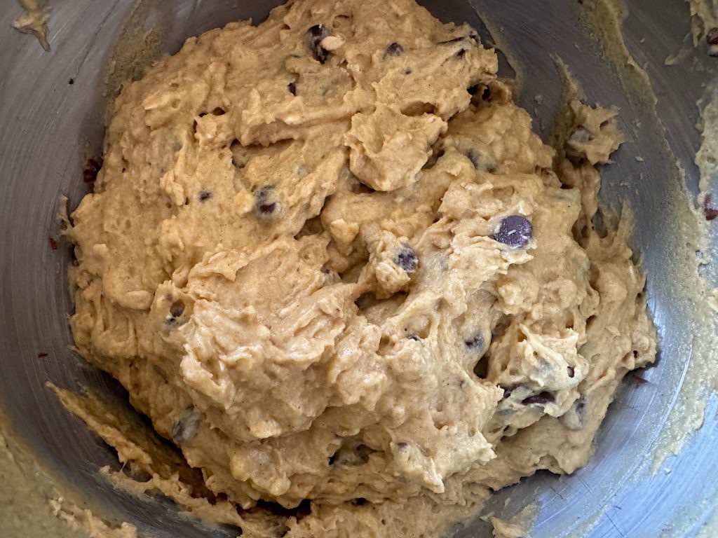 finished batter with chocolate chips in a stainless steel mixing bowl