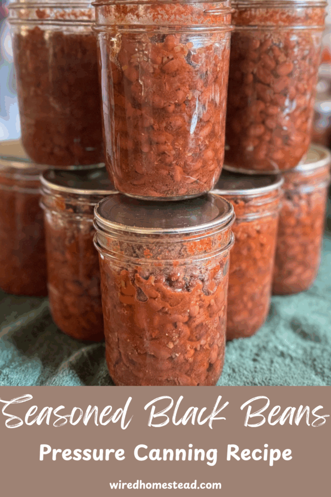 pinterest pin with stacked jars of seasoned black beans