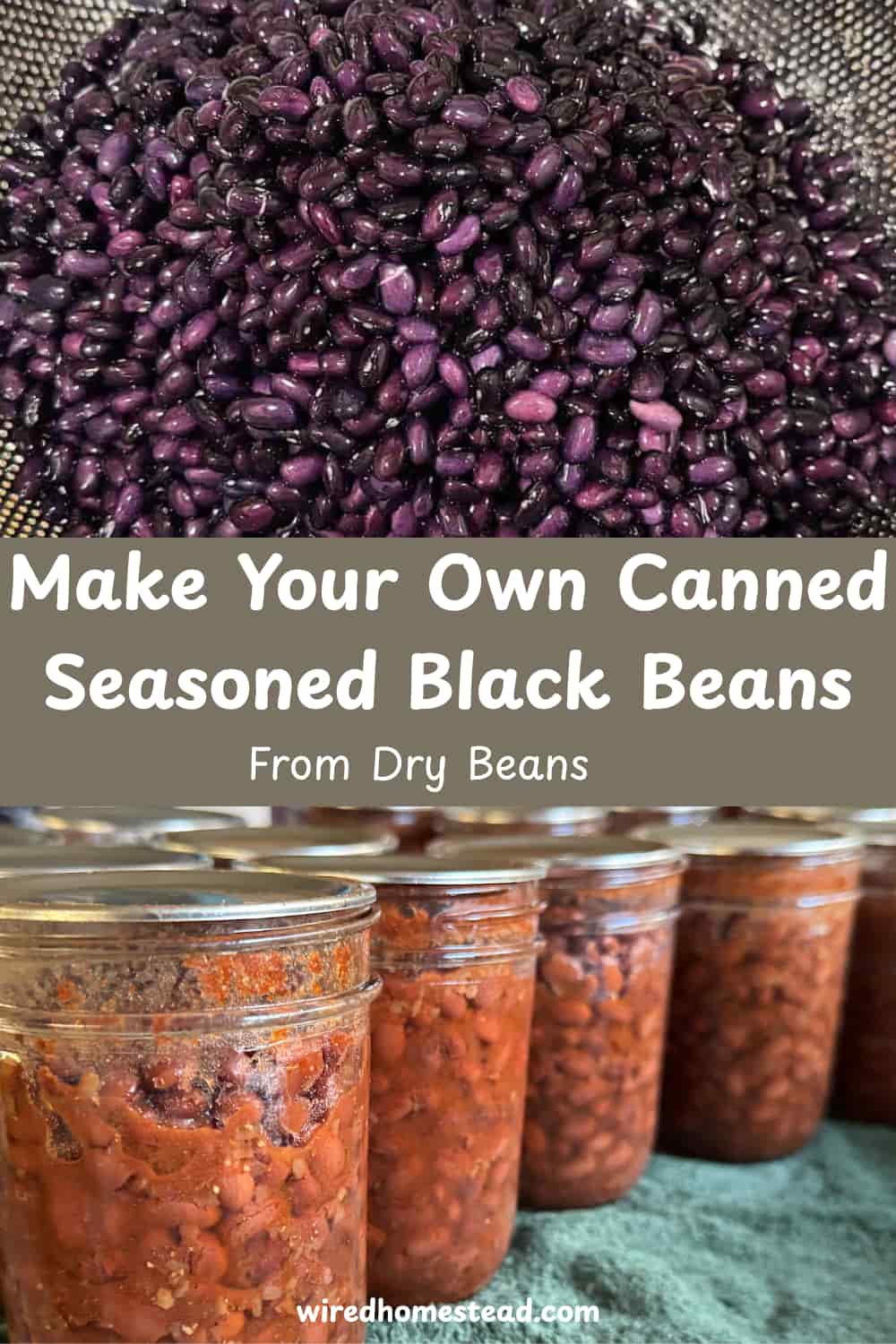 Pinterest Pin: says Make Your Own Canned Seasoned Black Beans From Dry Beans. Top picture is a close up picture of black beans. Bottom picture is a line of 4 jars of canned seasoned black beans on a green towel lined table.