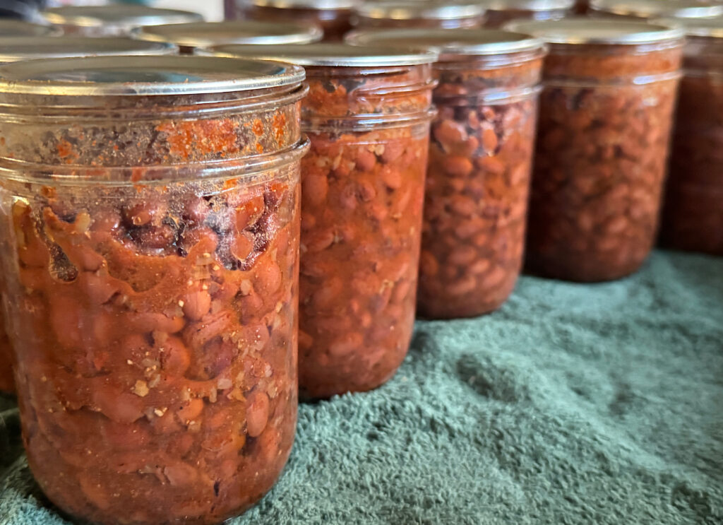 row of jars of seasoned black beans on a green towel lined table