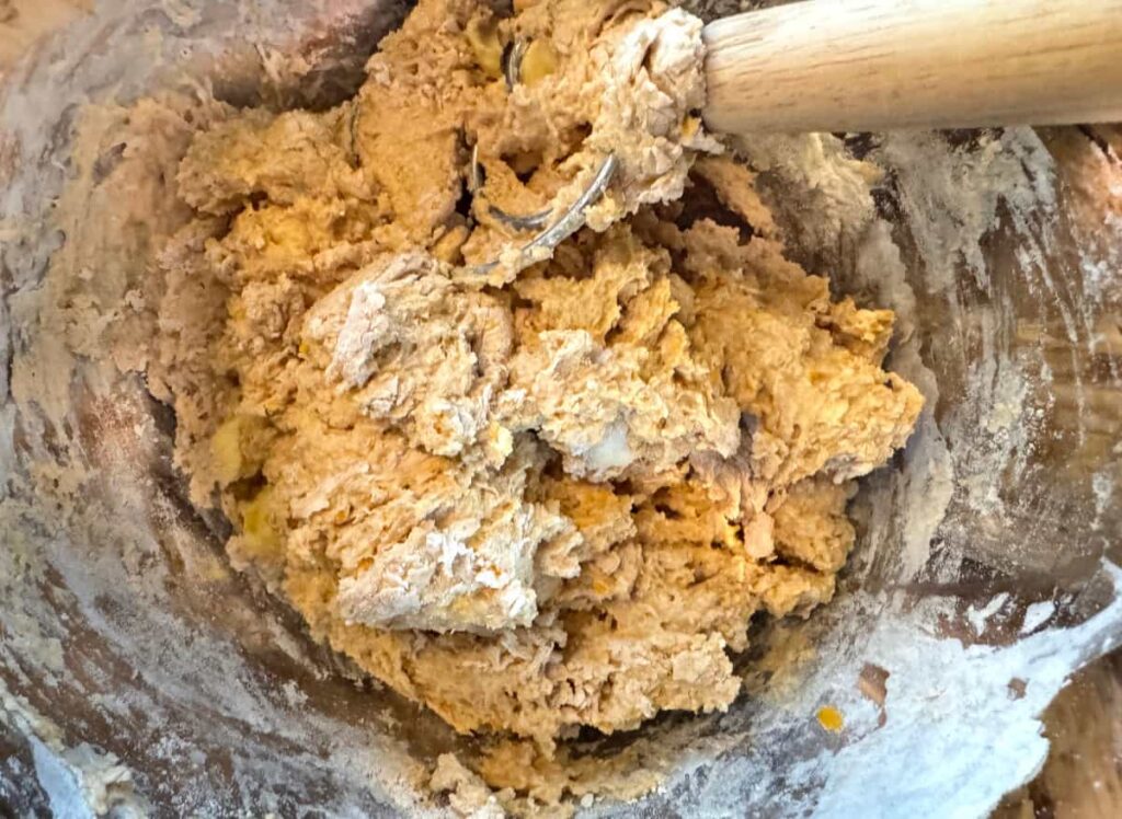 mixed butternut squash dough before kneading in a metal bowl with a dough whisk
