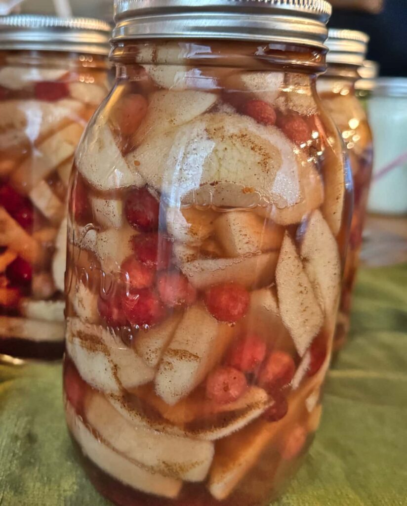 Jar of Apple Cranberry Pie Filling