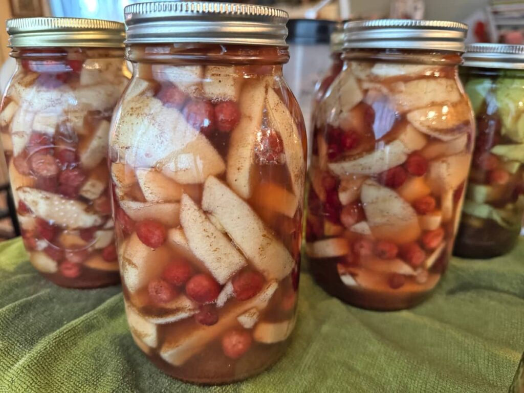 Jars of Apple Cranberry Pie Filling sitting on a green towel