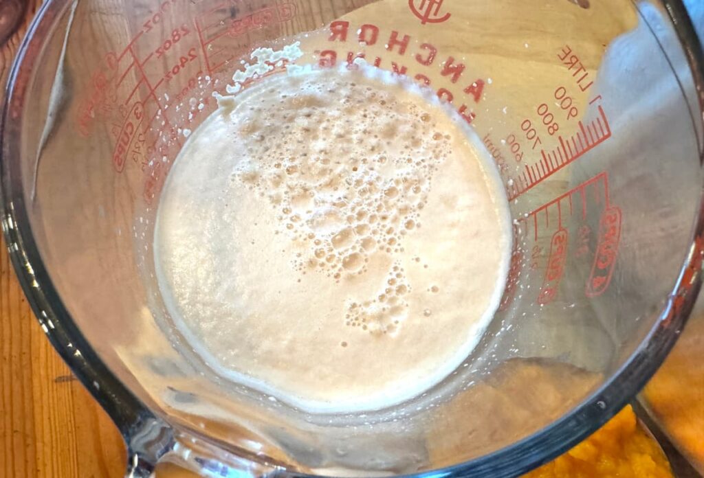 yeast proofed in a measuring glass