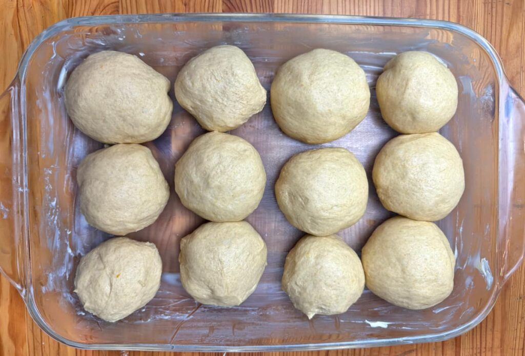 butternut squash dinner rolls formed into rolls in a 9x13 baking dish