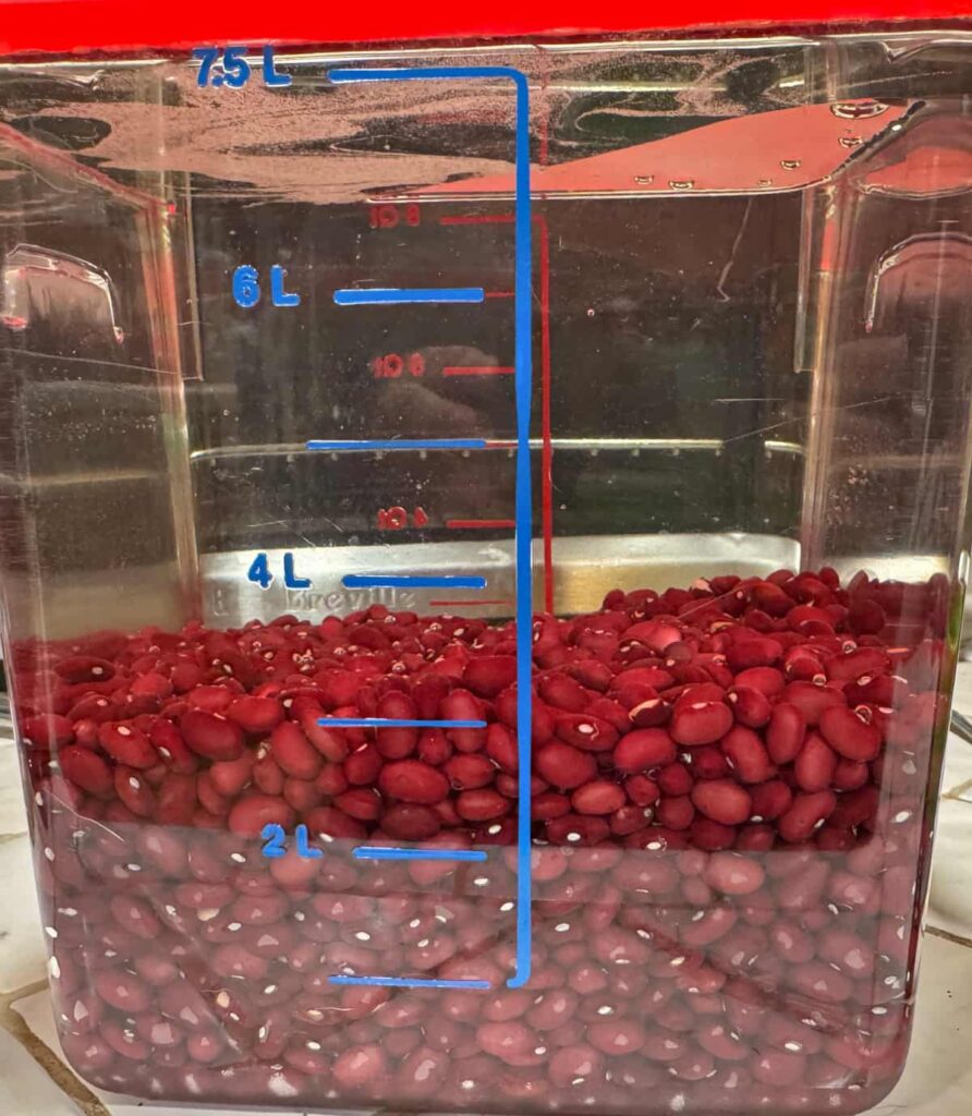 dry beans added to water in a rubbermaid container