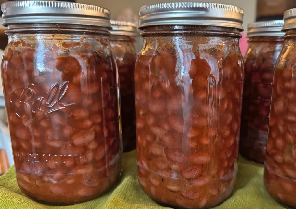 jars of canned chili beans on a green towel