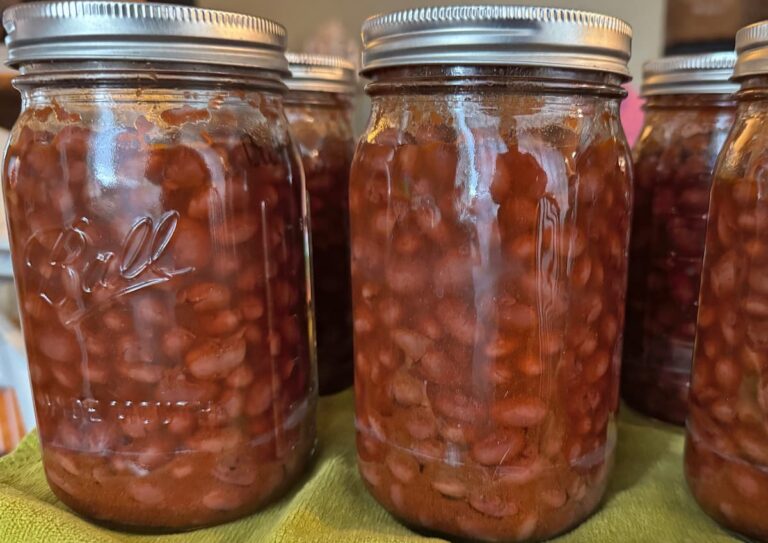 jars of canned chili beans