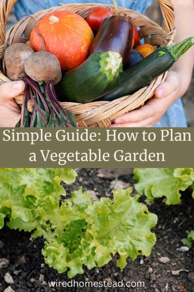 pinterest pin with a basket of vegetables and lettuce plants that says simple guide: how to plan a vegetable garden