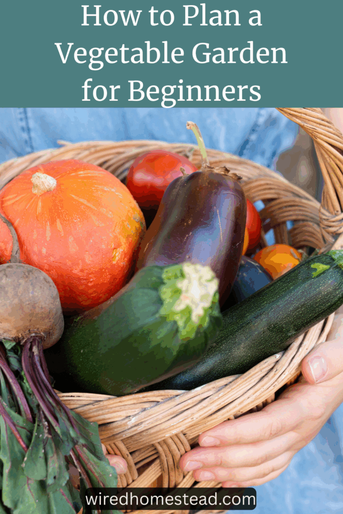 pinterest pin with a basket of vegetables that says how to plan a vegetable garden for beginners
