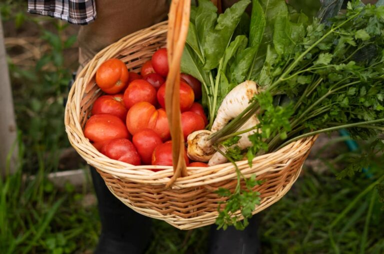 wicker basket filled with tomatoes