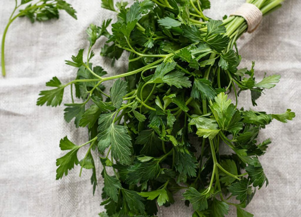 bunch of parsley on a white linen cloth