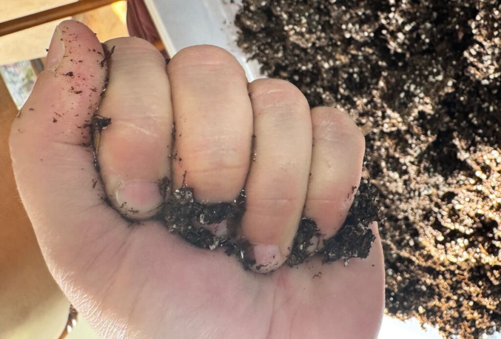 a hand squeezing moist soil with a small amount of water coming out between the fingers