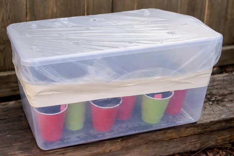 Easy DIY Containers for Winter Sowing That Actually Work