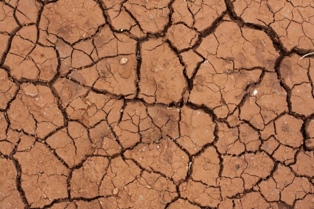 Dried, cracked soil