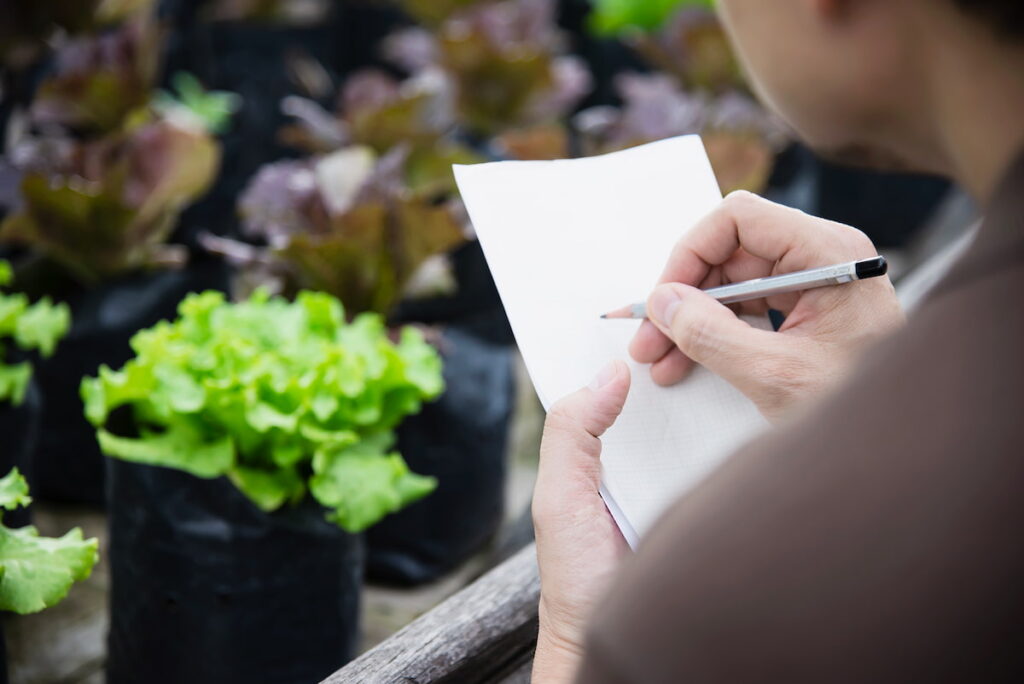 man with paper and pencil with grow bags of lettuce in the background