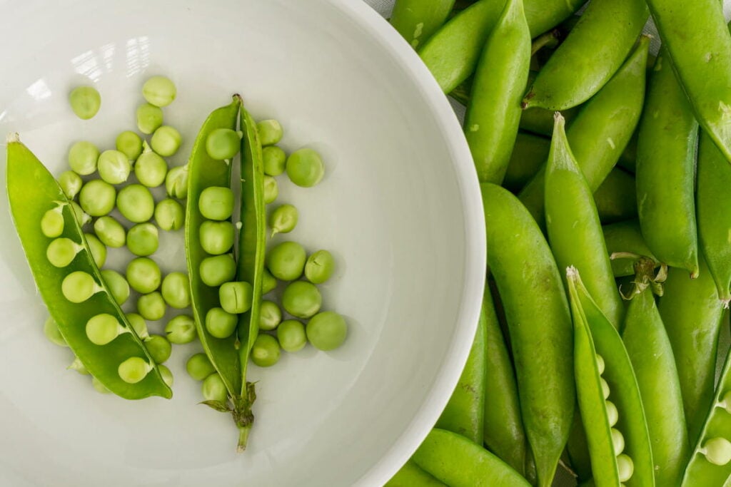 pile of pea pods next to a white bowl that has 2 open pea pods and shelled peas