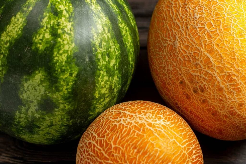 close up of 1 watermelon and 2 cantaloupe on a dark table