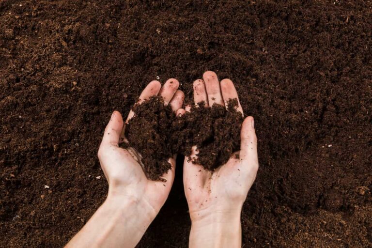 2 open faced hands holding healthy soil