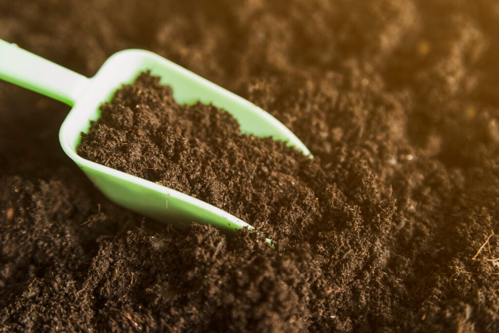 light green scoop full of soil sitting on top of the nice, crumbly soil