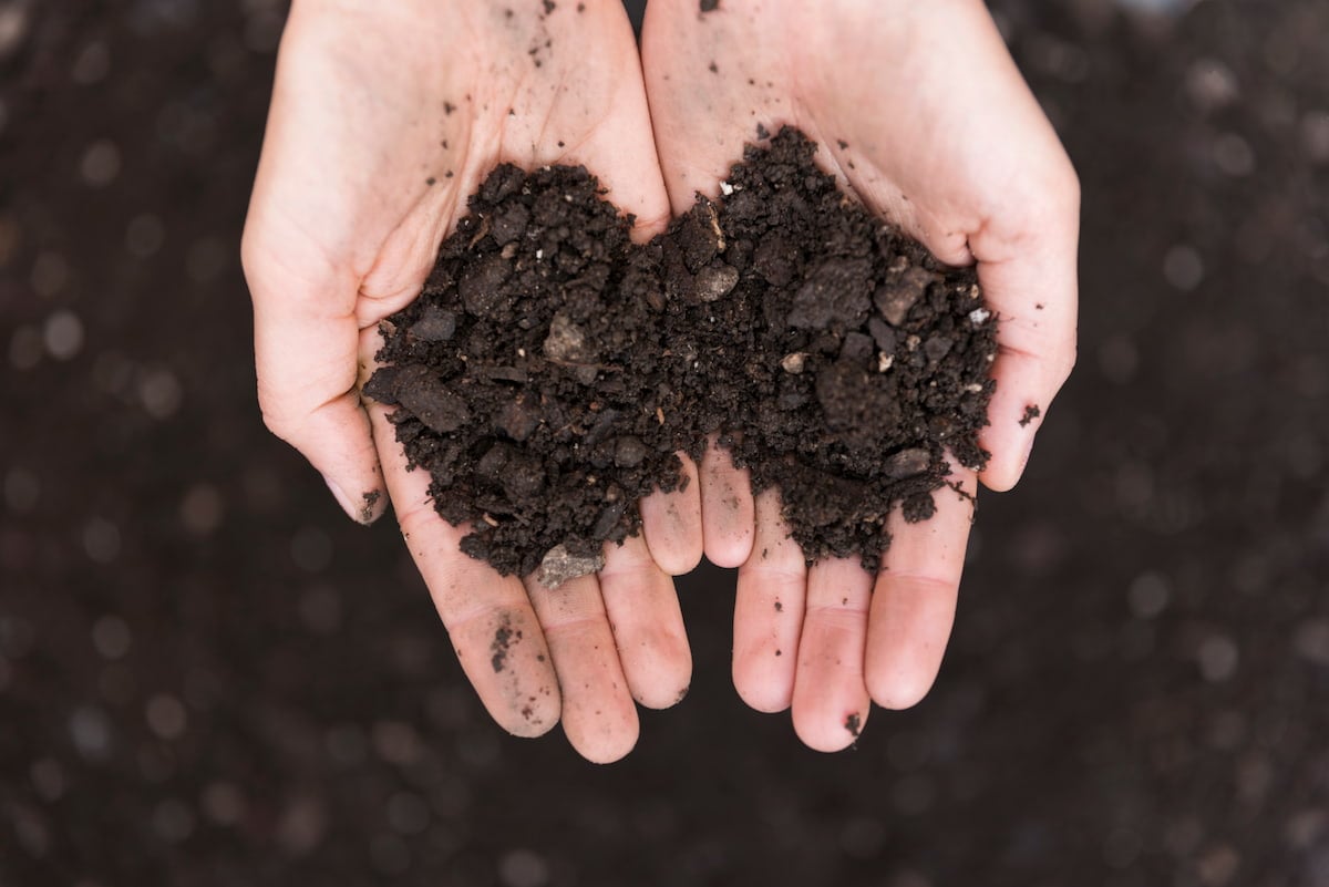 two hands holding soil that is nice and crumbly