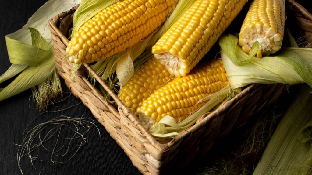 5 ears of corn, partially shucked, in a square wicker basket on a dark table