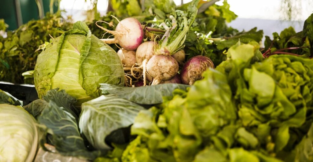 heads of lettuce, turnips, 1 beet, and other leafy greens with a white background