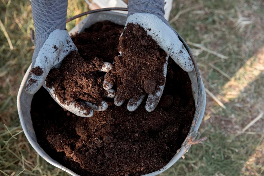 two hands wearing grayish blue garden gloves holding finished compost over a metal bucket full of finished compost