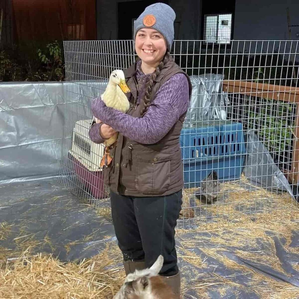 me wearing a gray hat, brown vest, purple shirt, and blue jeans, holding a white duck, with cattle panels behind me that enclose 2 dog kennels