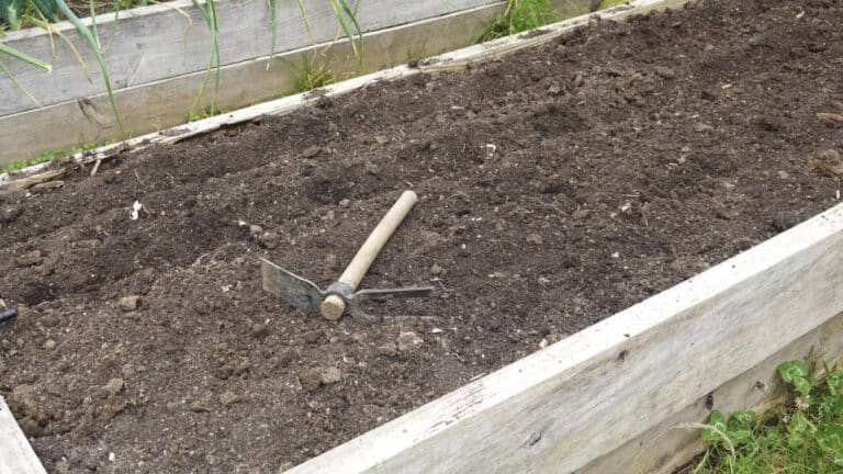 wooden raised bed filled with soil with a hoe and cultivator tool sitting on top of the soil