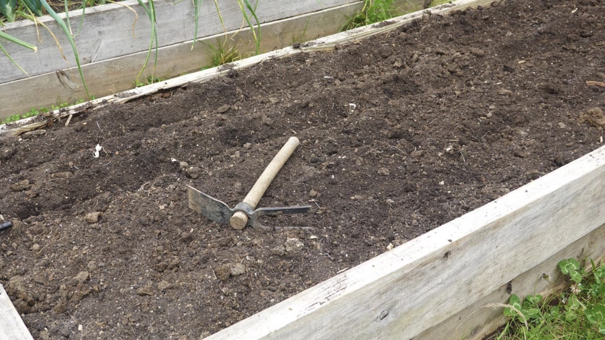 Best High-Yield Soil Mix For Raised Beds