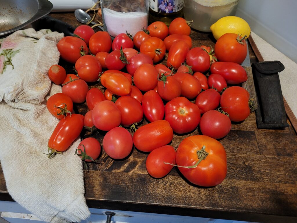 harvest of slicing and paste tomatoes on a butcher block counter top. A white kitchen towel is beside them and a lemon is in the back.