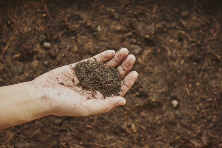 hand holding loamy soil
