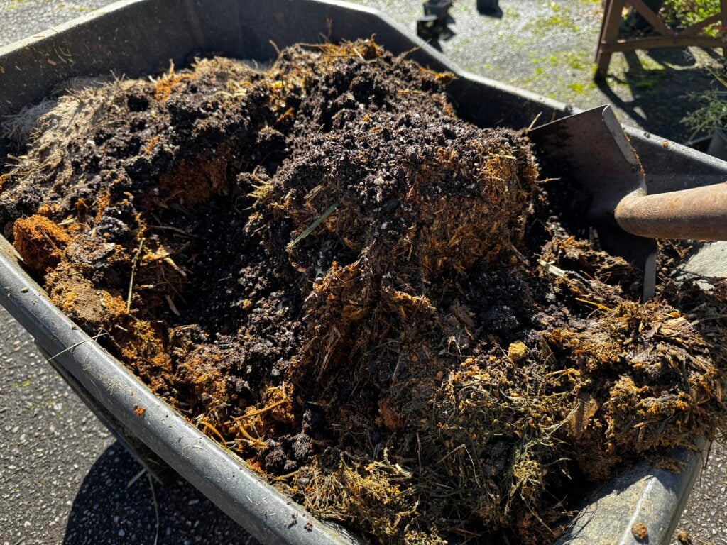 wheelbarrow full of container soil mix with a shovel stuck in it